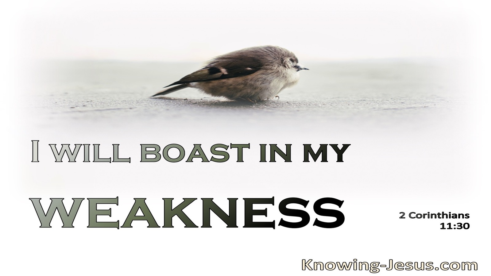 2 Corinthians 11:30 I Boast Of What Pertains To My Weakness (sage)